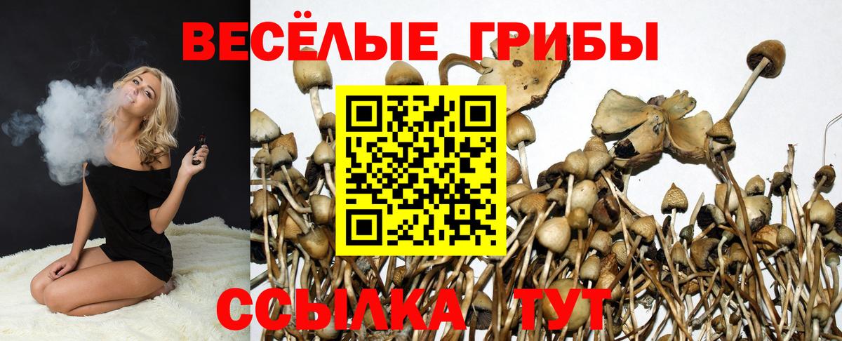 Орск  Галлюциногенные грибы прущие грибы  Вход с VPN 